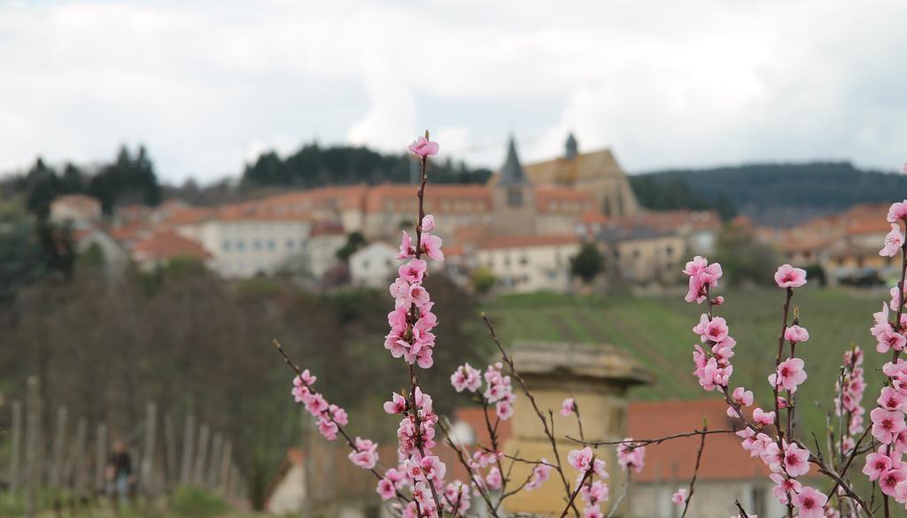 Gites Le Lancelot Ambierle Exteriör bild